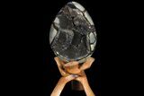 Septarian Dragon Egg Geode - Black Crystals #78549-1